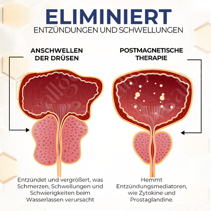 Oveallgo™ BeeVital Spray für die Prostatagesundheit