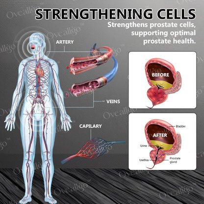 Oveallgo™ Tragbares Gerät ProstaNasal Boost