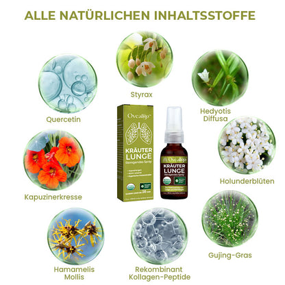 Oveallgo™ BreatheWell Natürliches Kräuterspray für Lungen- und Atemwegsunterstützung